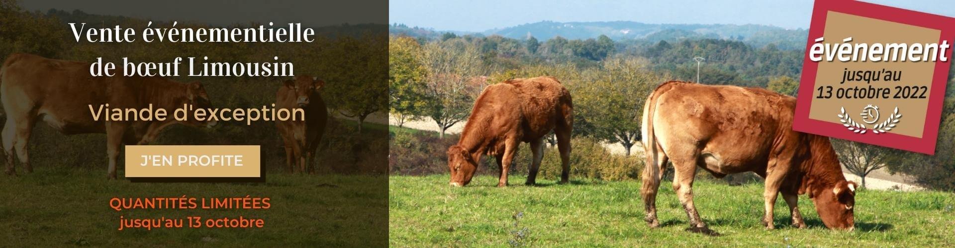 Le boeuf Limousin